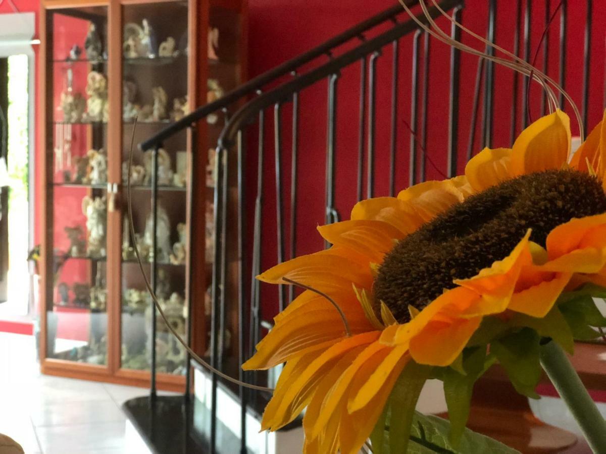 El Nur Bed & Breakfast サン・ヴィート・ロ・カーポ エクステリア 写真